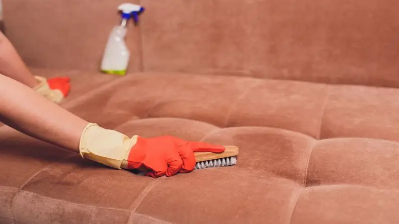 How to Remove Mold from Fabric Furniture Without Bleach