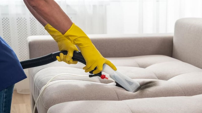 How to Clean Used Furniture to Prevent Bed Bugs